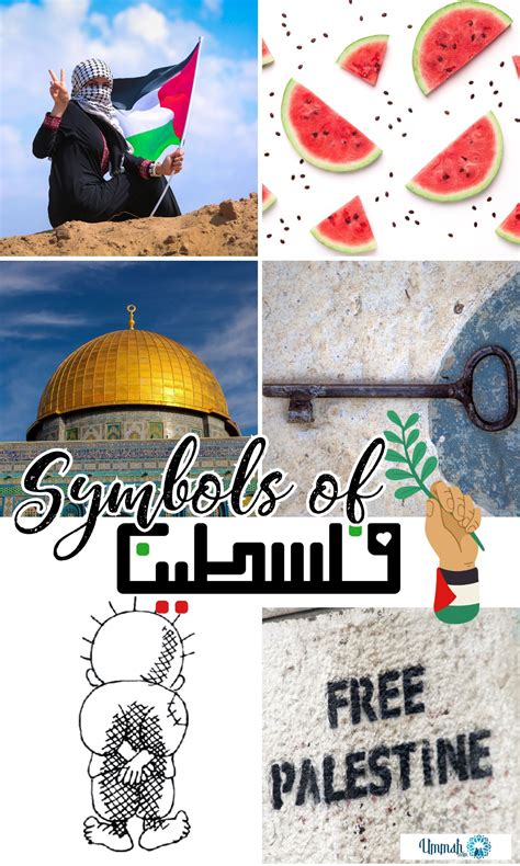 21 Powerful Symbols of Palestine That Echo Heritage and Resilience - Ummah.com