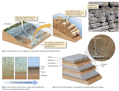 Sedimentary structures ~ Learning Geology