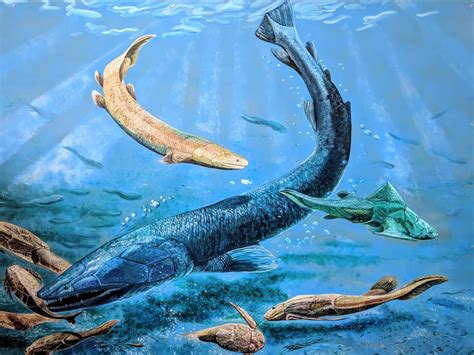 Devonian Animals