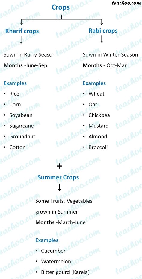 Rabi, Kharif and Zaid Crops - Explanation, Examples and Differences