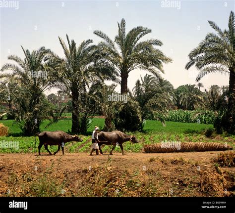 Nile delta egypt hi-res stock photography and images - Alamy