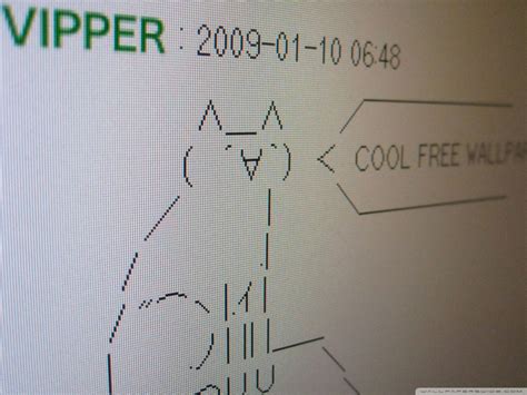 Funny Ascii Art Ultra HD Desktop Background Wallpaper for