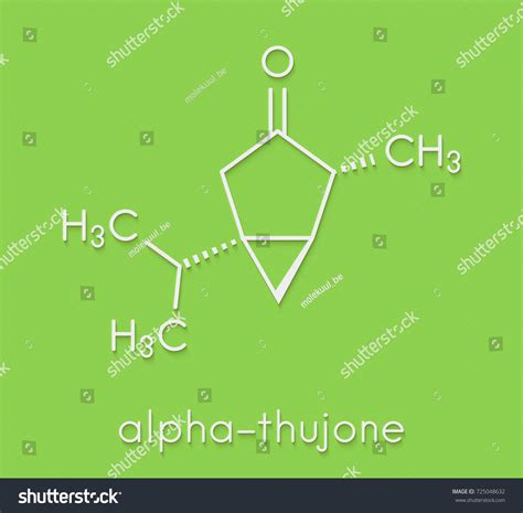 Thujone Absinthe Molecule Chemical Structure Skeletal Stock ...