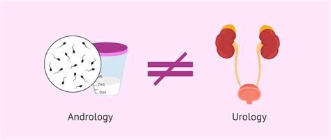 What is andrology?