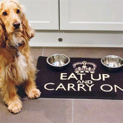 Dog food mat for resting food and water bowls on with the words EAT UP AND CARRY ON from www ...