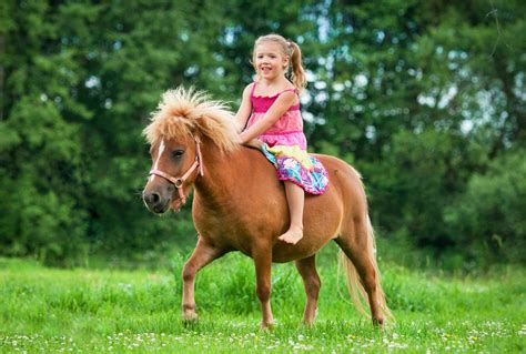 Ferienzug - Ponyhof Hasental, Trekking und Reiten mit Ponys