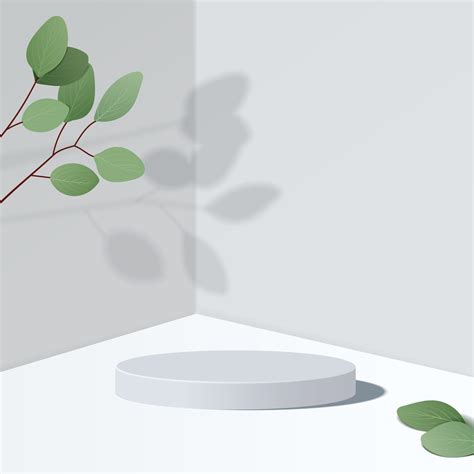 Abstract minimal scene with geometric forms. cylinder podium in white background with leaves ...