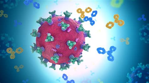 What is Polyclonal Antibody Sequencing? - Rapid Novor