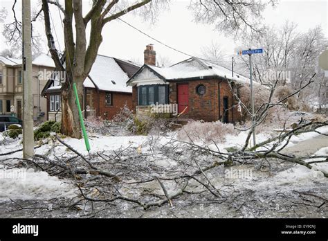 Ice storm damage in Leaside neighborhood; Toronto, Ontario, Canada ...