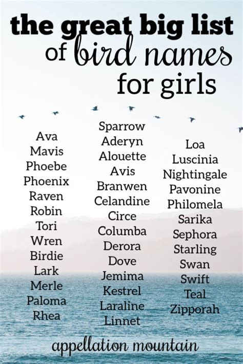 The Great Big List of Bird Names for Girls - Appellation Mountain