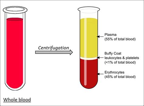 Issue #2 – Researchers able to test if coronavirus survivors’ plasma can protect health workers ...