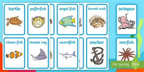 Printable Ocean Flashcards | Under the Sea | Twinkl - Twinkl