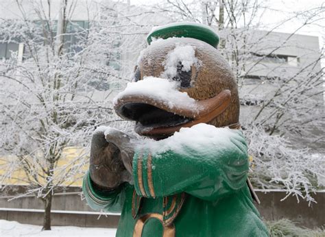 Oregon runner Simeon Birnbaum turns Hayward Field into ice rink