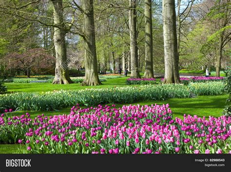 KEUKENHOF GARDEN Image & Photo (Free Trial) | Bigstock