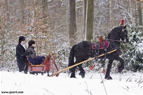 dashing through the snow in a one horse open sleigh, | Unusual horse ...