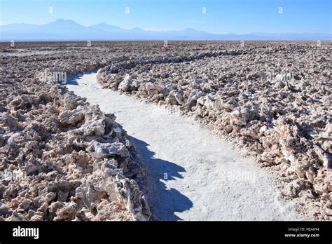 Salt flats lake in Atacama desert Chile Stock Photo - Alamy