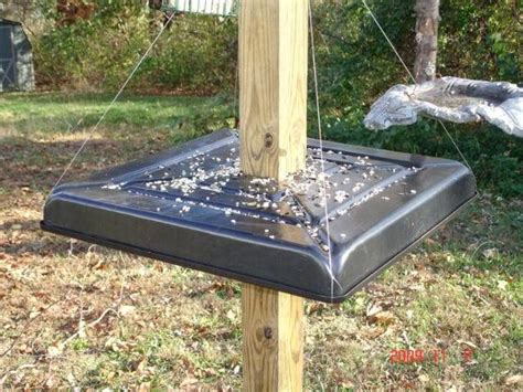 Homemade squirrel baffle (pics) is working great! | Squirrel proof bird feeders, Bird feeder ...