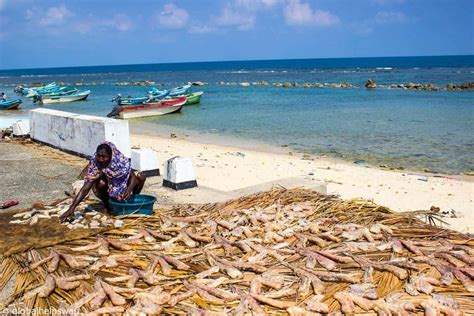 Things to do in Jaffna, Sri Lanka: Unmissable authentic experiences