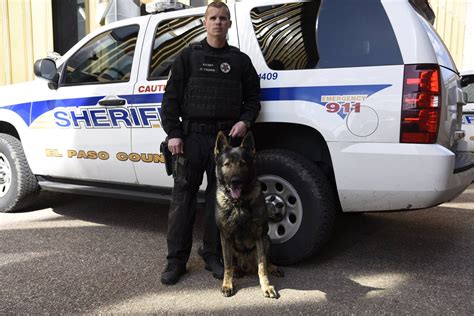 El Paso County Sheriff's Office announces passing of K9 Blitz