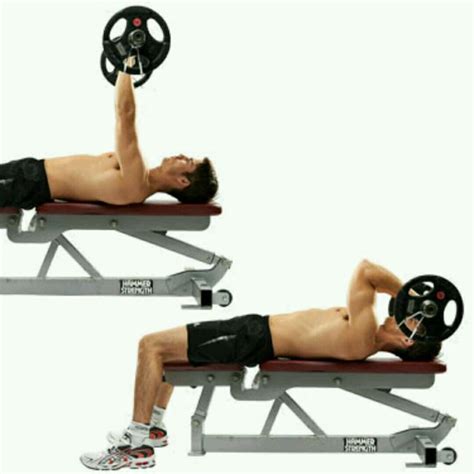 Barbell Tricep Extension by Saulo A. - Exercise How-to - Skimble