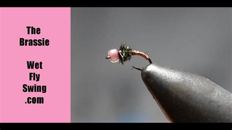 How to Tie a Brassie - Fly Tying Tutorial - YouTube