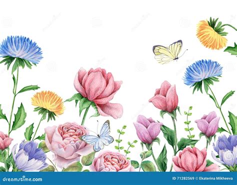 Chicory And Butterflies Watercolor Painting Stock Photo | CartoonDealer ...