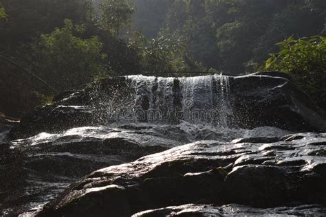 Waterfall in Rockgarden, Darjeeling Stock Photo - Image of rural ...