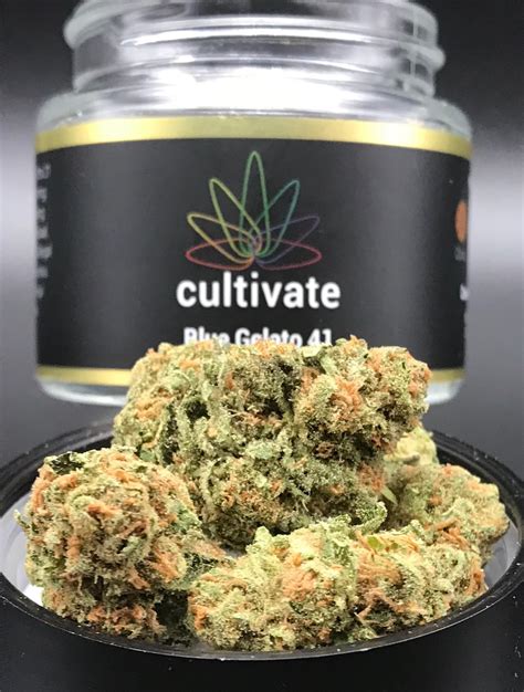 Review: Cultivate’s Blue Gelato 41 by Ieso - Illinois News Joint