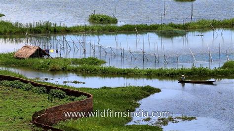 Floating Islands of Loktak, Manipur - YouTube