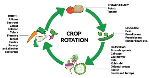 Crop Rotation