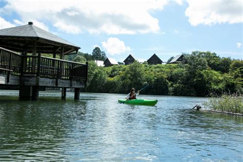 Taisho Pond Green Park 1 | Photos | Another Kyoto Media Library