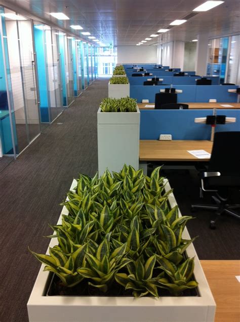 Indoor Garden Design - office plants in London | Plant office design, Office plants, Open office ...