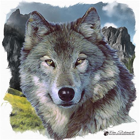 Lone Wolf Digital Art by Tom Schmidt