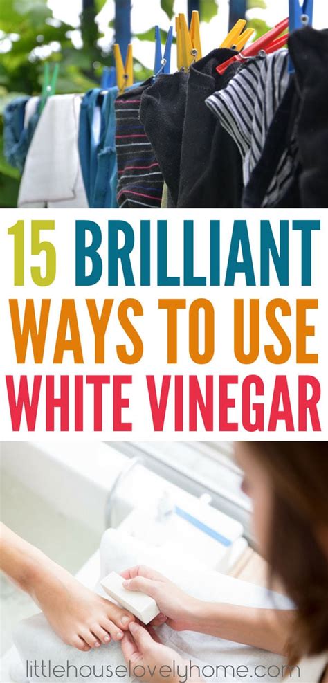 28 Brilliant Ways to Use White Vinegar in Your Home | Little House ...