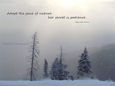 Nature graphy Inspirational Quotes Winter Wonderland, winter quote HD wallpaper | Pxfuel