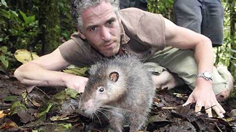 Scientists Discover Giant Rat, Frog With Fangs in 'Lost World' Habitat | Fox News