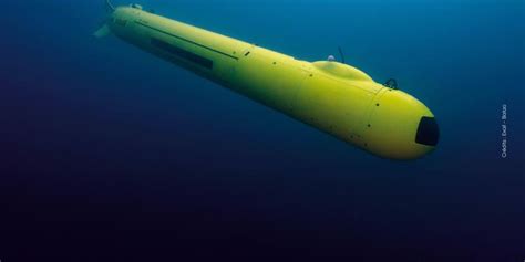 AUV Solutions | Eca Group