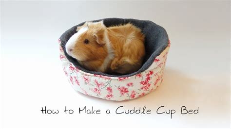 Diy Guinea Pig Bed / Diy Guinea Pig Fleece House Guineapigfans Youtube ...