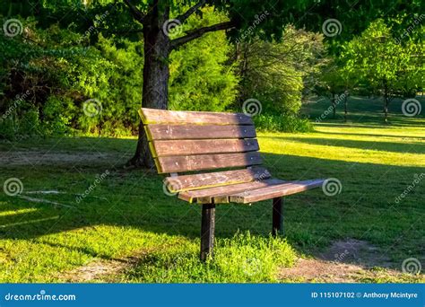 Park Bench Sunset Trees stock photo. Image of peaceful - 115107102