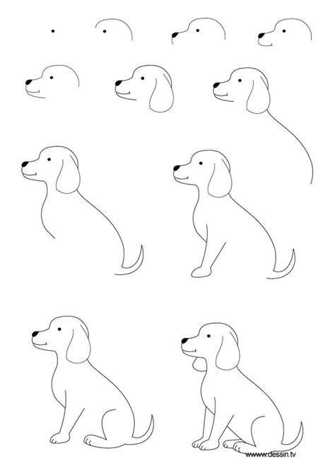 Image result for easy drawings of animals | Art drawings for kids, Dog ...