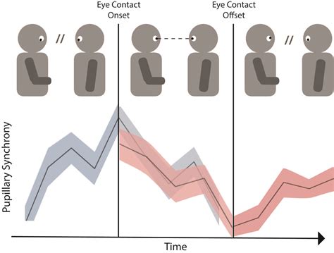 Making (and breaking) eye contact makes conversation more engaging