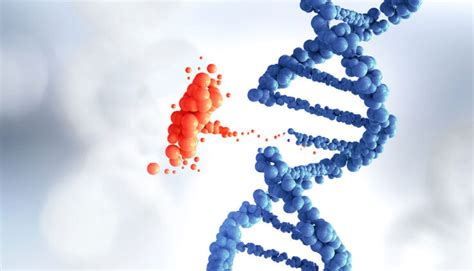 10 Most Common Genetic Diseases - MLA North East