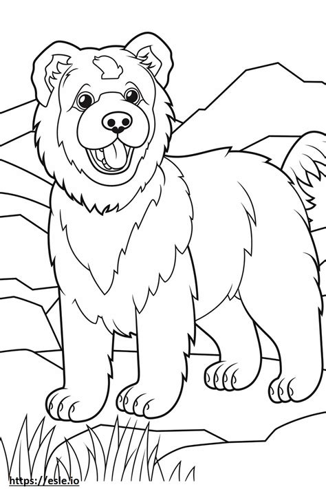 Yorkie Bichon cute coloring page