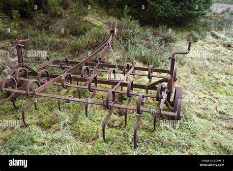 Old Harrow found in a forest near Silkeborg, Denmark Stock Photo - Alamy