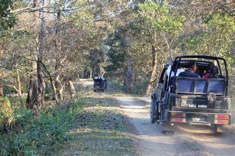 Pobitora Wildlife Sanctuary: Mystic Grasslands Of Assam - Inditales