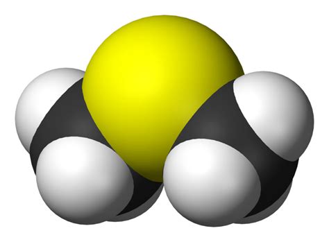 Dimethyl sulfide - wikidoc