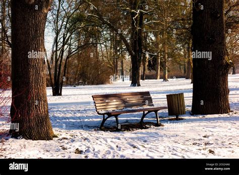 Winter park in snow Stock Photo - Alamy