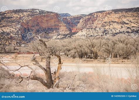 Deer Lodge Park Yampa River Canyon View Stock Image - Image of bird, golden: 142992555