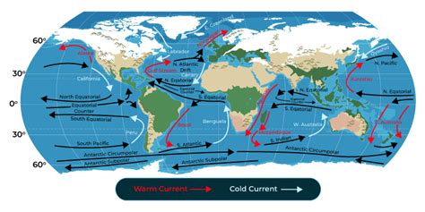 Ocean Currents - Meaning, Types, Causes, Effects