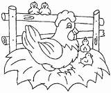 Cute Chicken Coloring Pages PDF For Children  Coloringfoldercom sketch template